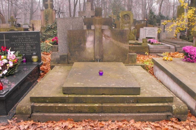 Zdjęcie grobu: Tadeusz Wilhelm Marczewski