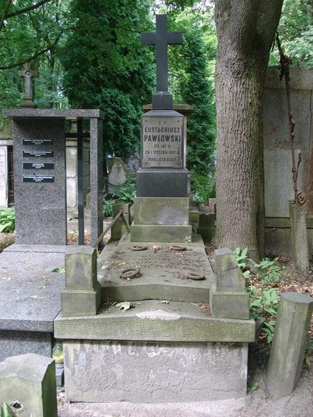 Zdjęcie grobu Eustachiusz Pawłowski (1)