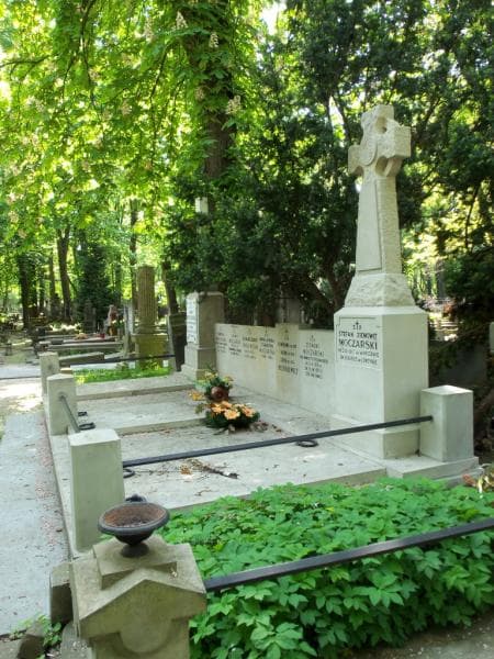 Zdjęcie grobu Helena Około - Kułak (2)