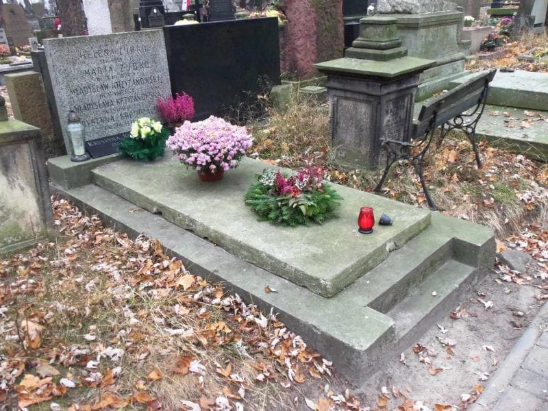 Zdjęcie grobu Krystyna Krzyżanowska (1)
