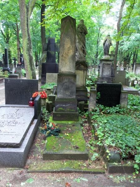 Zdjęcie grobu: Wieńczysława Detyniecka