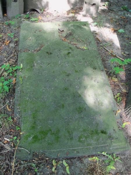 Zdjęcie grobu Franciszek Leszczyński (2)
