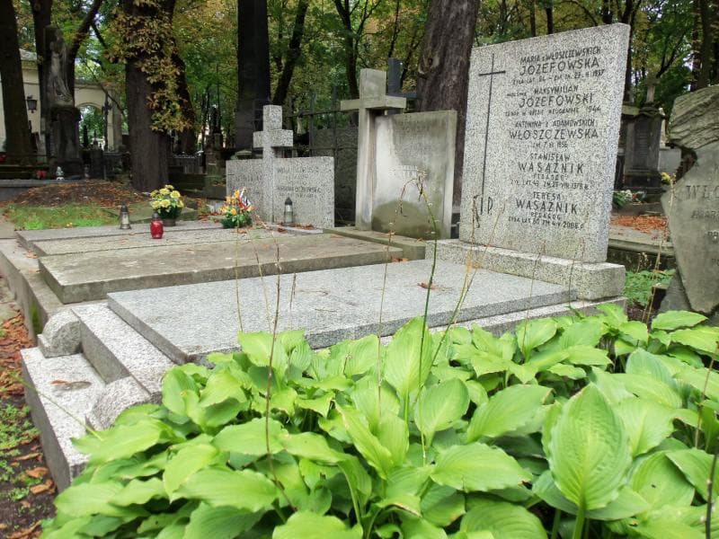 Zdjęcie grobu Teresa Wasążnik (1)