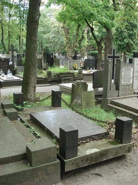 Zdjęcie grobu Władysław Żółciński (2)
