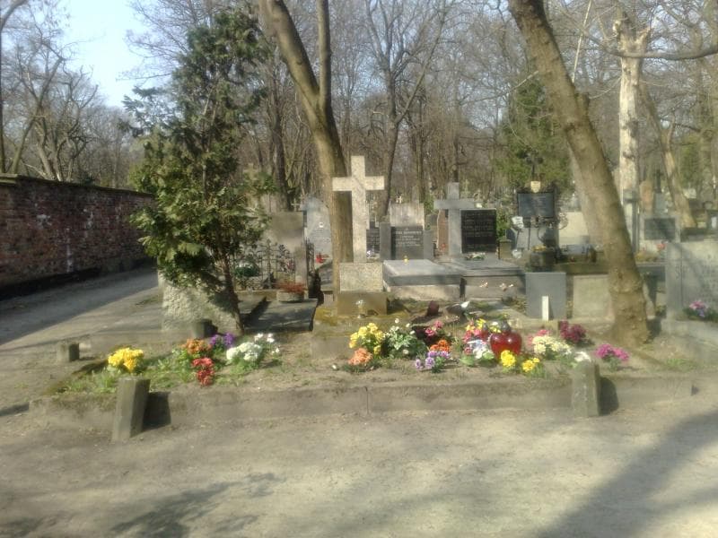 Zdjęcie grobu: Henryk Fokczyński