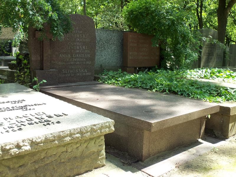Zdjęcie grobu Anna Daniluk (1)