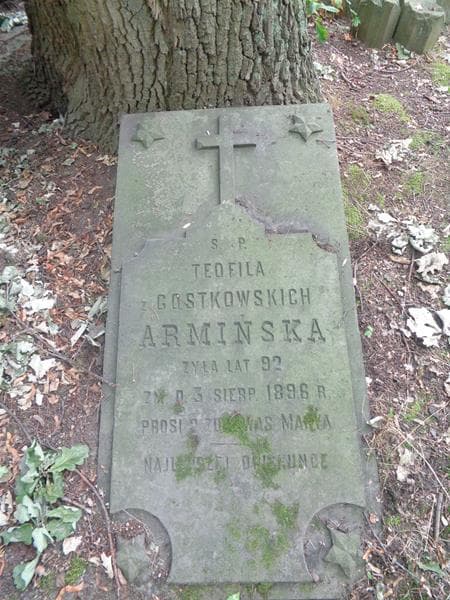 Zdjęcie grobu Teofila Armińska (2)