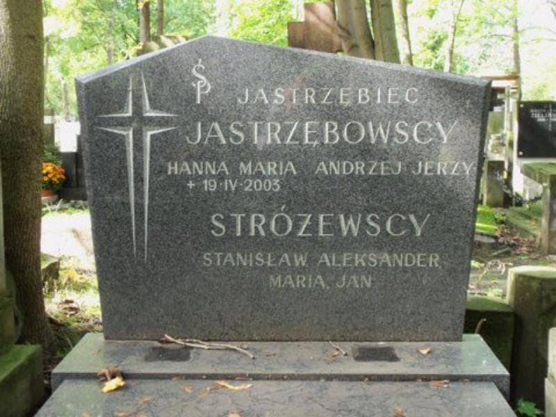 Zdjęcie grobu Strużewscy (2)