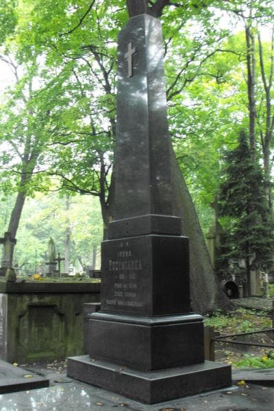 Zdjęcie grobu Józef Puzyna (2)