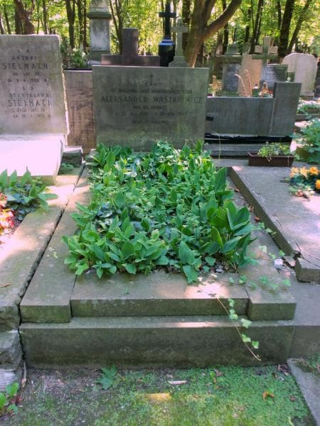 Zdjęcie grobu Aleksander Waszkiewicz (1)