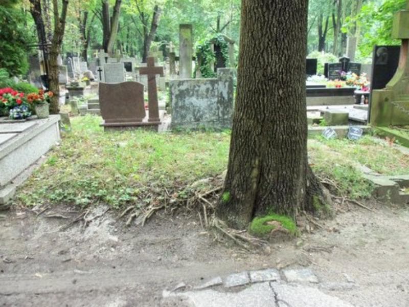 Zdjęcie grobu: Pole Grobowe