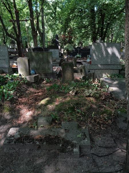 Zdjęcie grobu Ignacy Kozłowski (1)