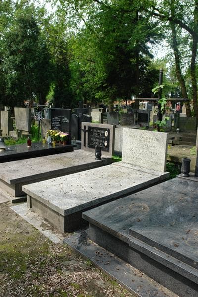 Zdjęcie grobu Józef Szczepanik (1)