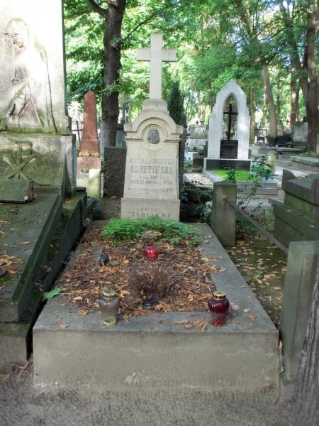 Zdjęcie grobu: Antoni Terlecki