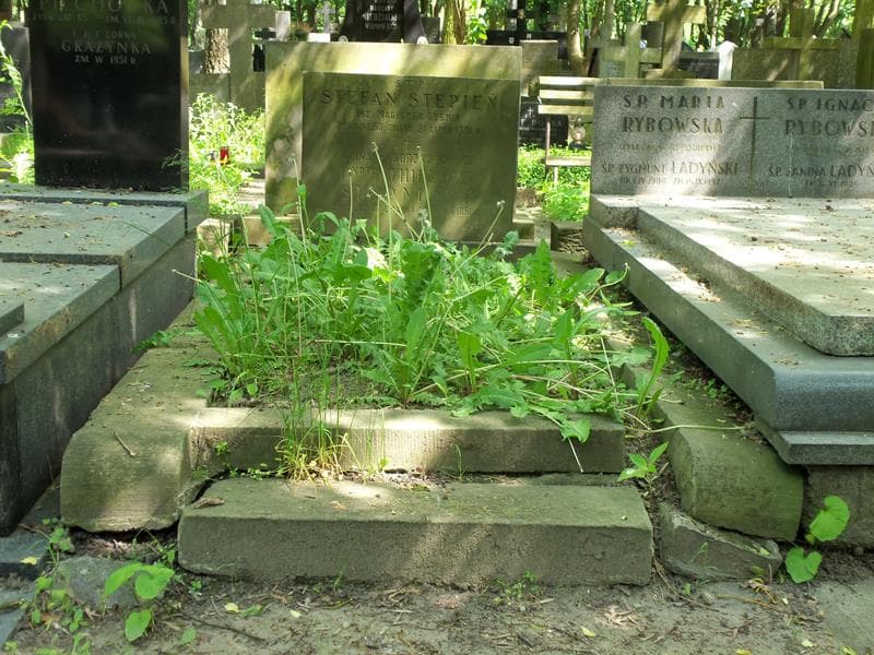 Zdjęcie grobu: Anna Stępniowa