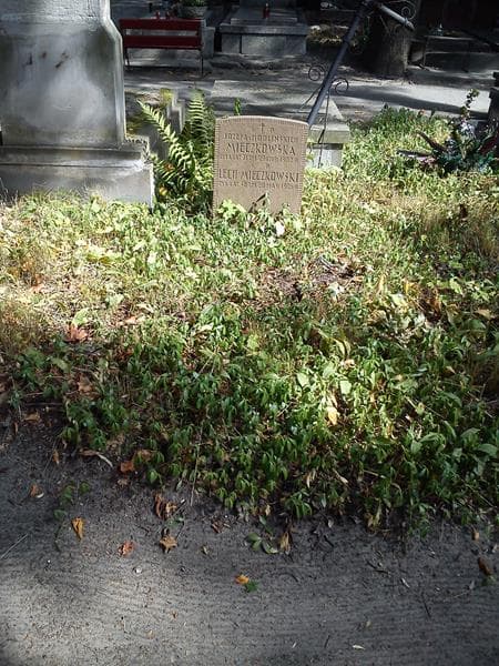 Zdjęcie grobu Lech Mieczkowski (1)