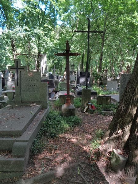 Zdjęcie grobu Józef Czaplicki (1)