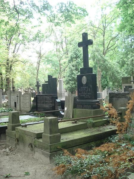 Zdjęcie grobu Natalia Marszewska (1)