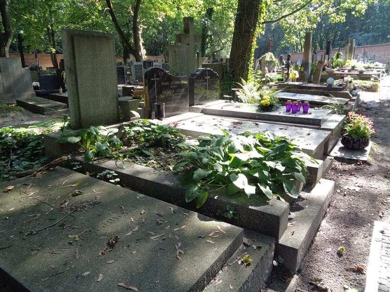 Zdjęcie grobu: Józef Burzyński
