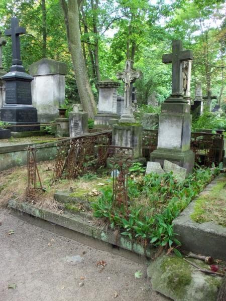 Zdjęcie grobu Józef Lasocki (1)