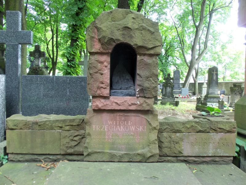 Zdjęcie grobu Witold Trzeciakowski (2)
