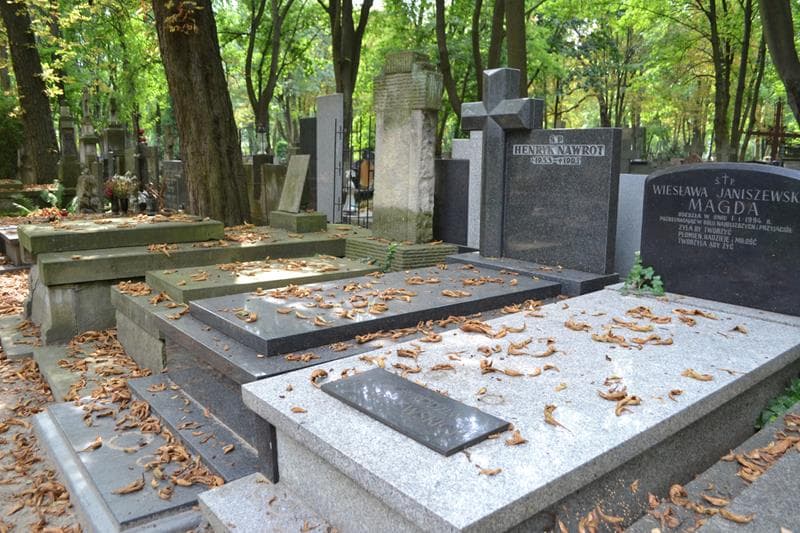 Zdjęcie grobu: Henryk Nawrot