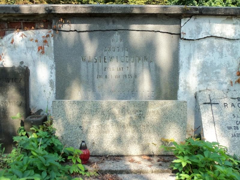 Zdjęcie grobu Antoni Wasiewicz (2)
