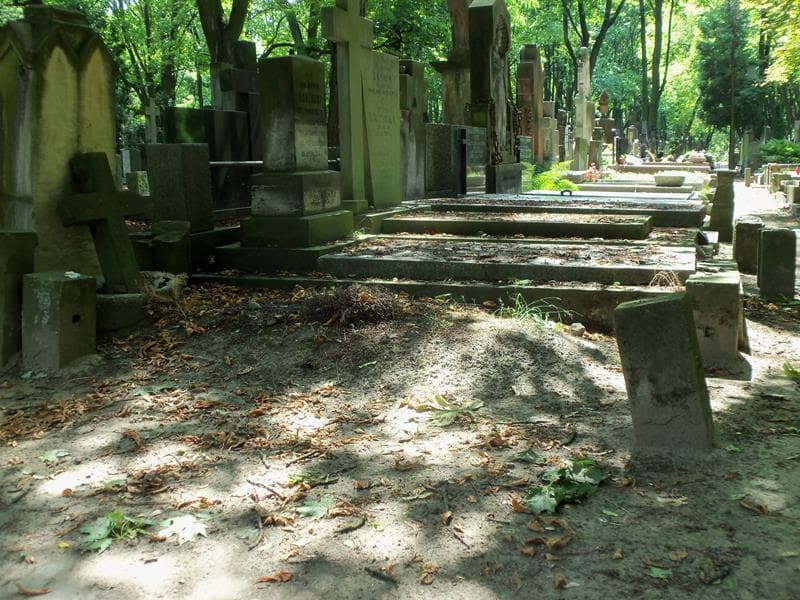 Zdjęcie grobu Anonim (1)