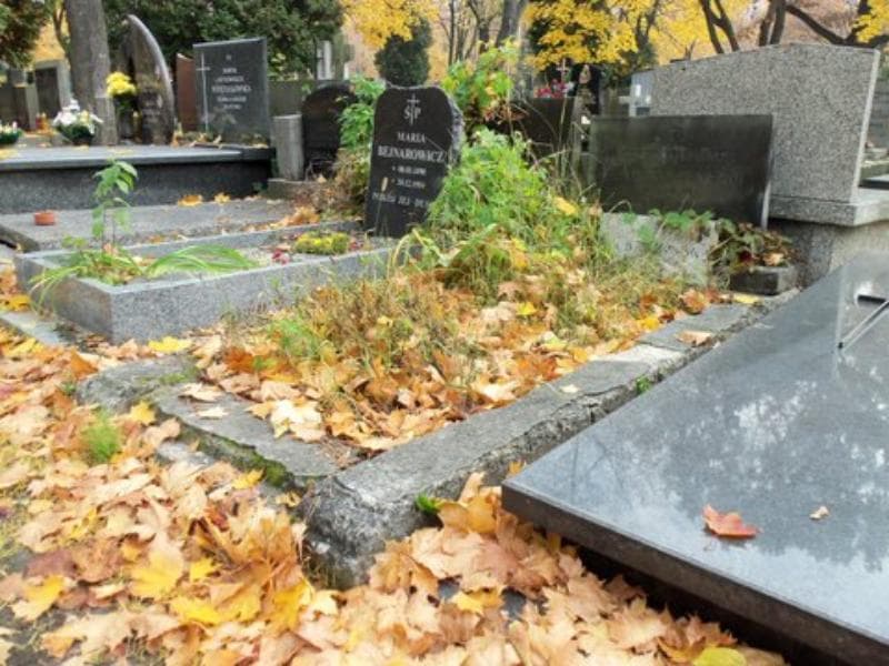 Zdjęcie grobu Alicja Czubaczyńska (1)