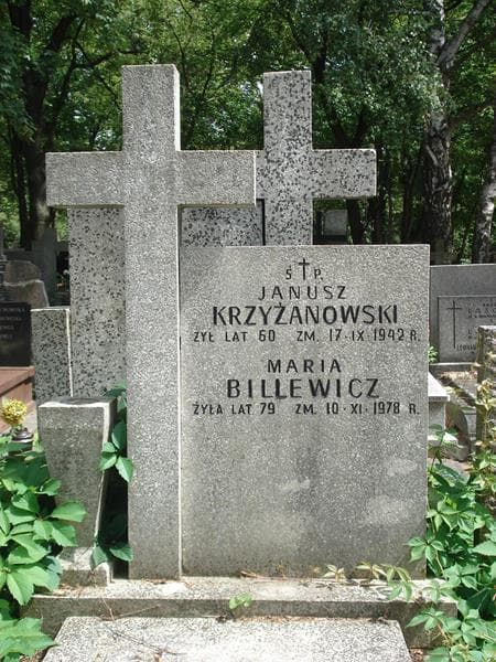 Zdjęcie grobu Janusz Krzyżanowski (2)
