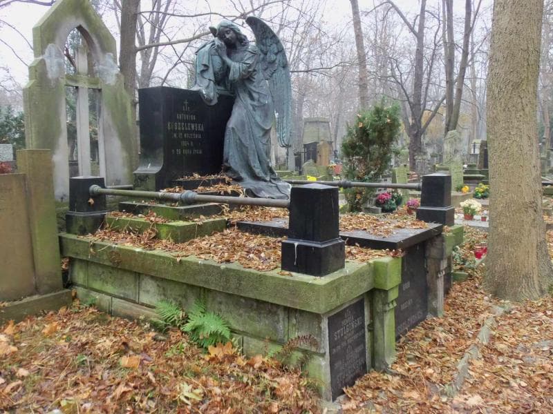 Zdjęcie grobu Zofia Stulgińska (1)