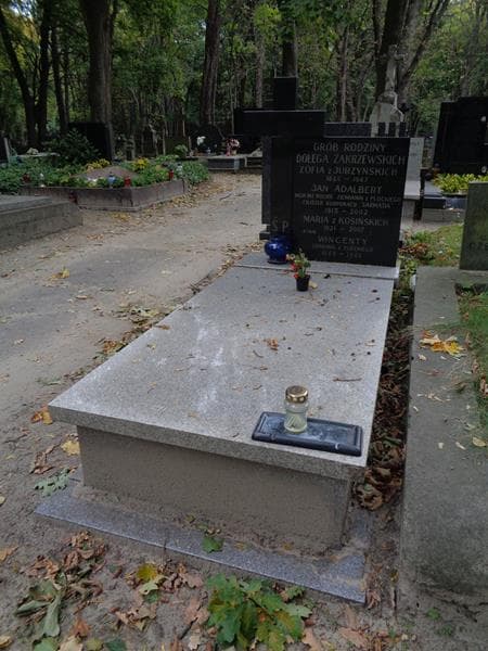 Zdjęcie grobu Wincenty Dołęga Zakrzewski (1)