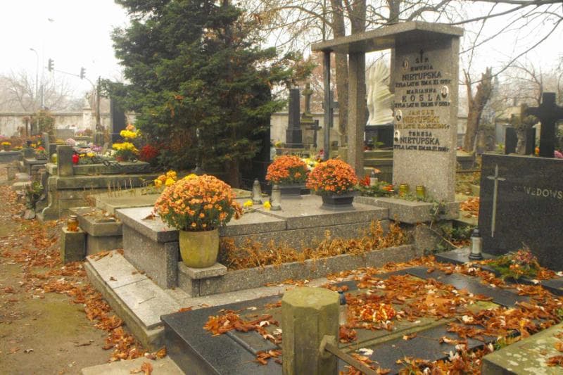 Zdjęcie grobu Teresa Nietupska (1)