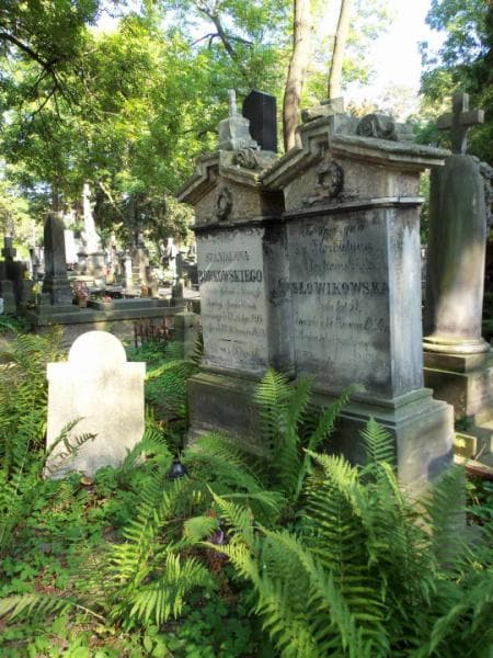 Zdjęcie grobu Józef Słowikowski (2)