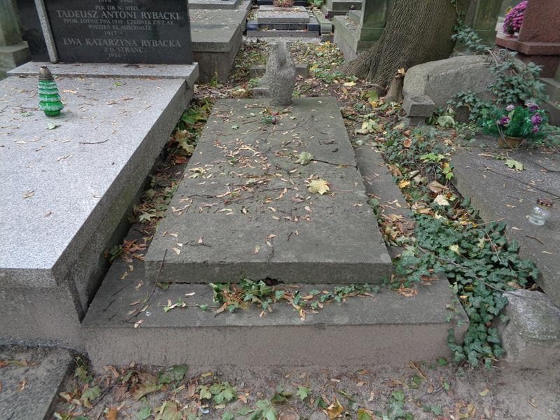 Zdjęcie grobu Teresa Campbell (1)