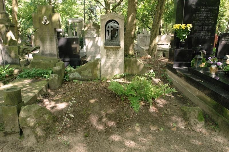 Zdjęcie grobu Ignacy Abłamowicz (1)