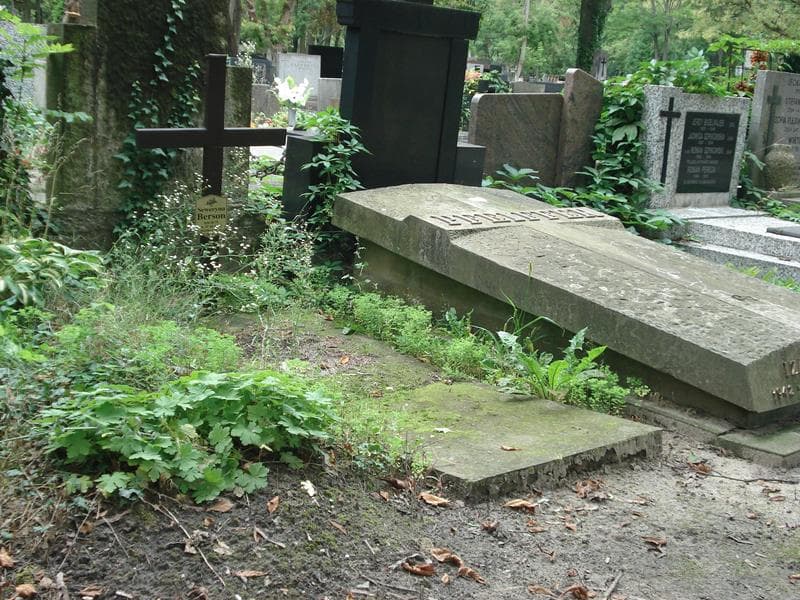 Zdjęcie grobu Seweryna Berson (1)