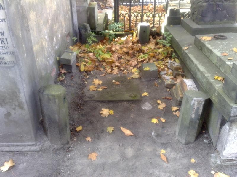 Zdjęcie grobu: Emilia Walewska Wielońska