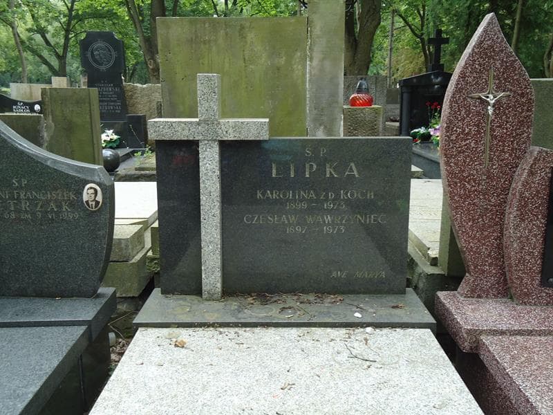 Zdjęcie grobu Karolina Lipka (2)
