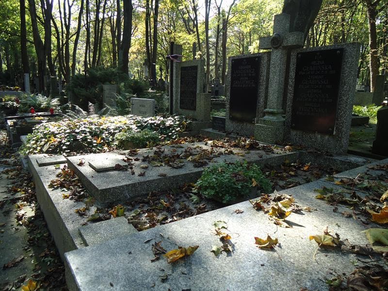 Zdjęcie grobu Jadwiga Głabińska (1)