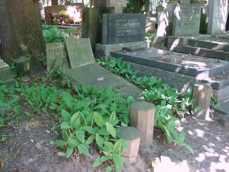 Zdjęcie grobu: Andrzej Nowakowski