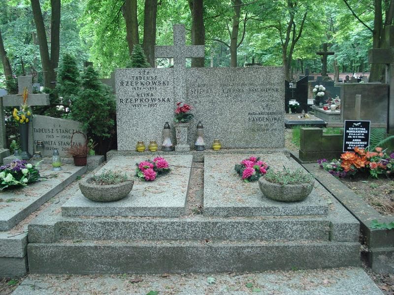 Zdjęcie grobu: Jadwiga Czemska