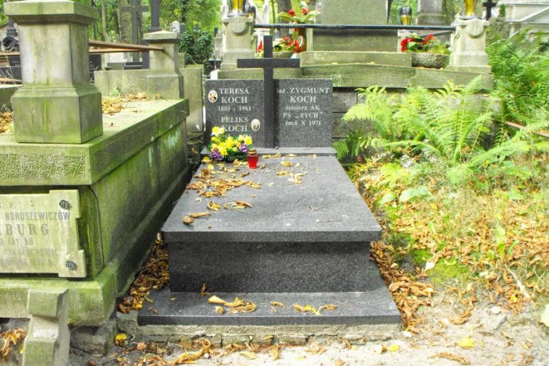 Zdjęcie grobu: Teresa Koch