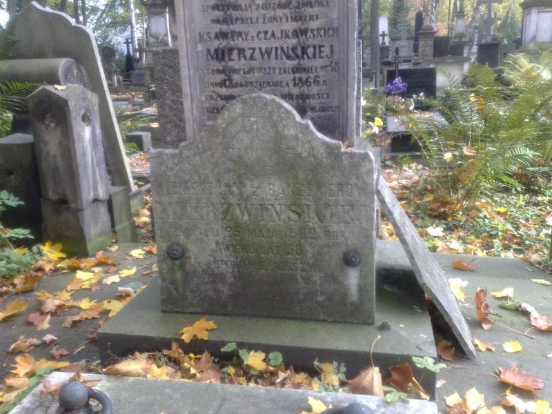 Zdjęcie grobu Ignacy Mierzwiński (2)