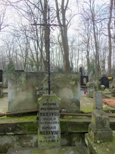 Zdjęcie grobu Antonina Maciejewska (2)
