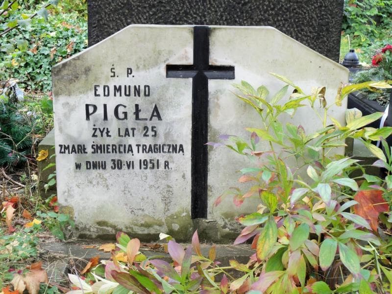 Zdjęcie grobu Edmund Pigła (2)