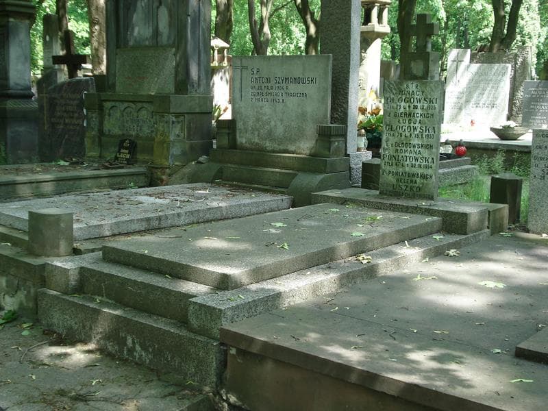 Zdjęcie grobu Ignacy Głogowski (1)
