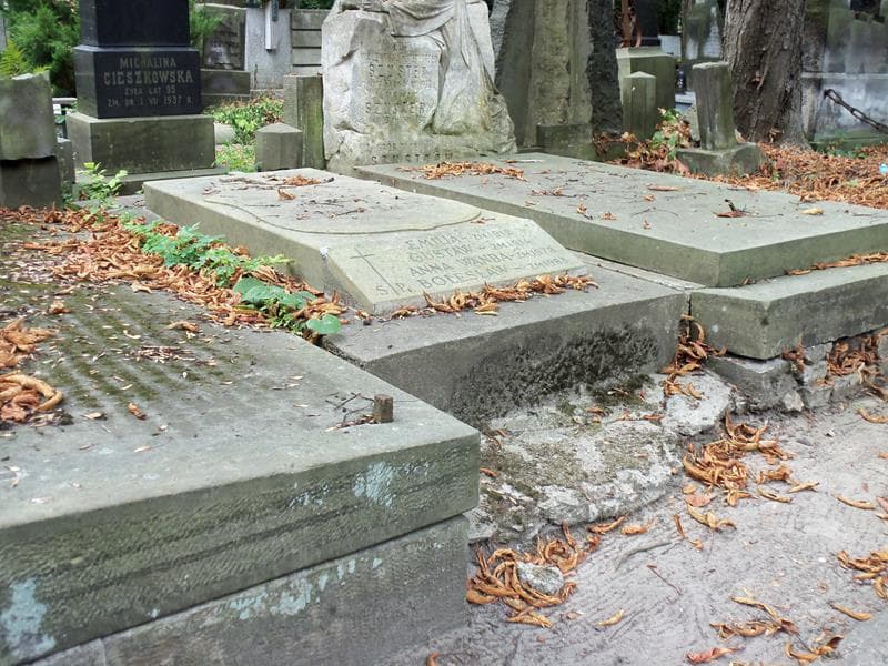 Zdjęcie grobu Anna Wanda Jeżowska (1)
