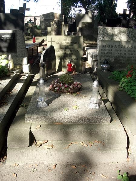 Zdjęcie grobu Ludwik Grzeniewski (1)