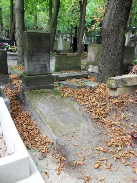 Zdjęcie grobu Mieczysław Dowmont-Siesicki (1)